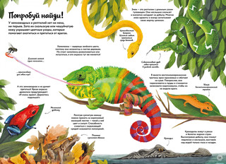 Большая книга о природе в картинках 6