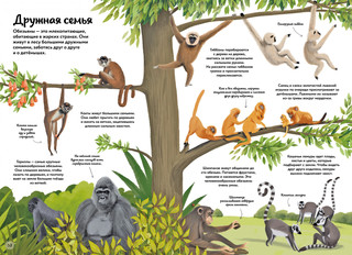 Большая книга о природе в картинках 7