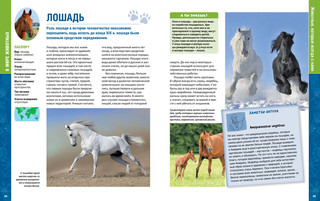 В мире животных. Энциклопедия 4