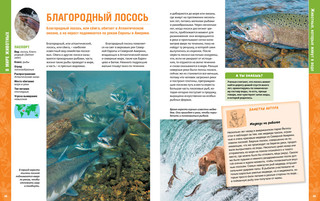 В мире животных. Энциклопедия 6