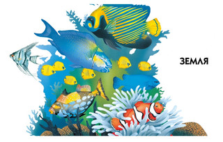 Новая детская энциклопедия 7