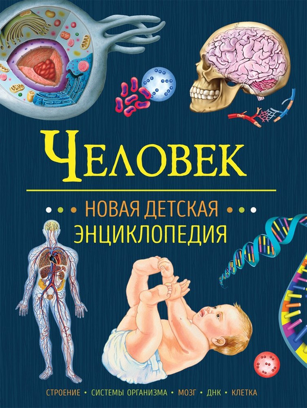 Человек. Новая детская энциклопедия