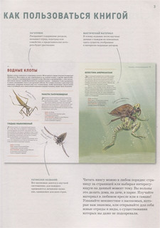 Насекомые. Лучшая энциклопедия 3