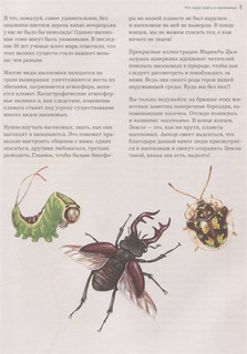 Насекомые. Лучшая энциклопедия 5