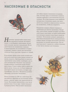 Насекомые. Лучшая энциклопедия 6