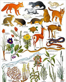 Атлас. Мир и человек 3