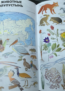 Атлас. Мир и человек 5