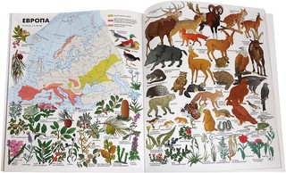 Мир вокруг нас. Географический атлас 2