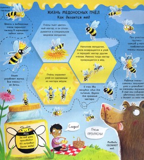 А ты любишь букашек? Сногсшибательные факты о букашках 3