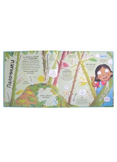 А ты любишь букашек? Сногсшибательные факты о букашках 5