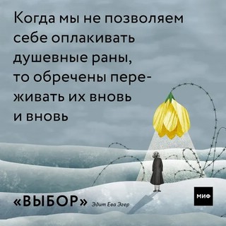 Выбор. О свободе и внутренней силе человека 13
