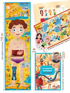 'Что внутри человека' Анатомия для самых маленьких с окошками 1