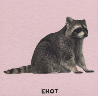 Умный чемоданчик. В мире животных 2