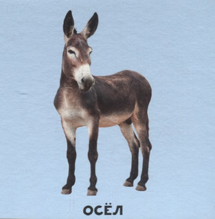 Умный чемоданчик. В мире животных 3