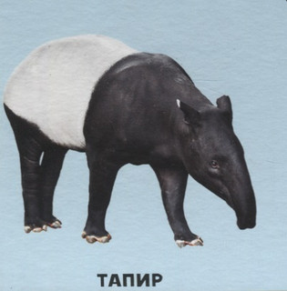 Умный чемоданчик. В мире животных 4