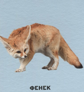 Умный чемоданчик. В мире животных 5