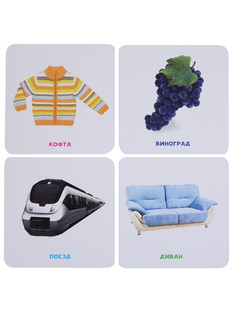 Умный чемоданчик. Мир вокруг нас 2