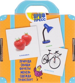 Умный чемоданчик. Мир вокруг нас 3