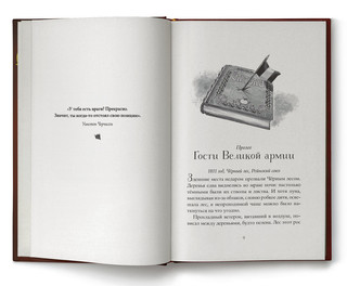 Страна Сказок. Том 3. Предостережение братьев Гримм 2