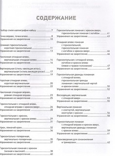 Китайский язык. Обучающие прописи + бесплатное видеоприложение 6