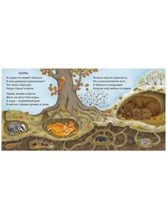 Удивительные дома животных. Книжки-картонки 2