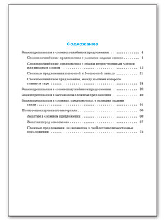 Русский язык. 9 класс. Тренажёр. Пунктуация. ФГОС 5