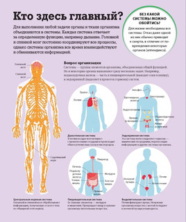 Как работает тело 5