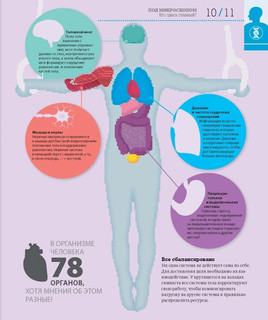 Как работает тело 6