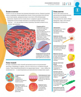 Как работает тело 8