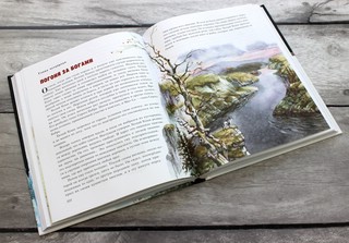 Белый клык 3