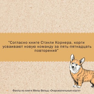 Очаровательные корги. Походка, которая вдохновляет! Раскраски антистресс 10
