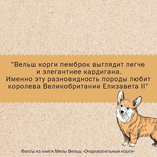 Очаровательные корги. Походка, которая вдохновляет! Раскраски антистресс 11