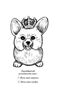 Очаровательные корги. Походка, которая вдохновляет! Раскраски антистресс 3