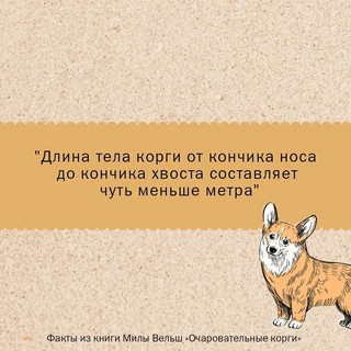 Очаровательные корги. Походка, которая вдохновляет! Раскраски антистресс 8