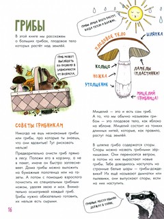 Грибы и ягоды. Моя первая книга 6