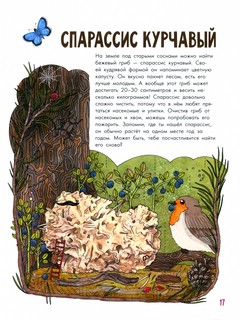 Грибы и ягоды. Моя первая книга 8
