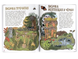 Грибы и ягоды. Моя первая книга 7