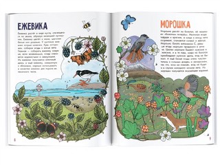 Грибы и ягоды. Моя первая книга 3