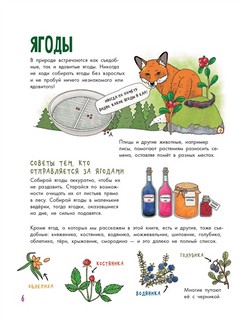 Грибы и ягоды. Моя первая книга 2