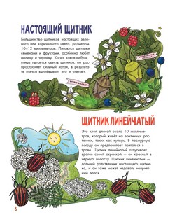 Насекомые. Моя первая книга 9
