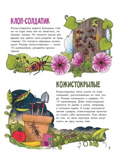 Насекомые. Моя первая книга 10