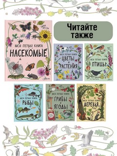 Насекомые. Моя первая книга 12