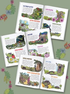 Насекомые. Моя первая книга 3