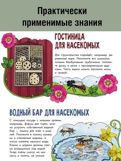 Насекомые. Моя первая книга 4