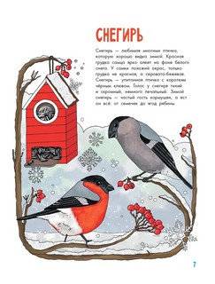 О птицах. Моя первая книга 9