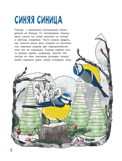 О птицах. Моя первая книга 10