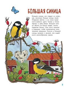 О птицах. Моя первая книга 11