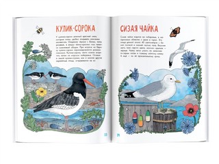 О птицах. Моя первая книга 13