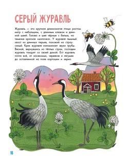 О птицах. Моя первая книга 7