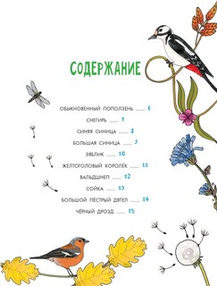 О птицах. Моя первая книга 5